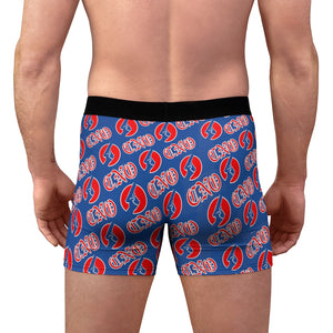 Men's Boxer Briefs (Blue)