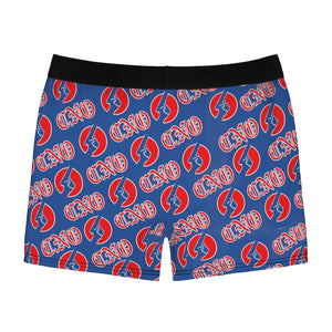 Men's Boxer Briefs (Blue)